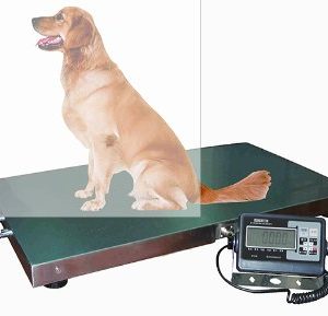 Bilancia veterinaria a pavimento – 90x50 cm, 120 kg EX-2
